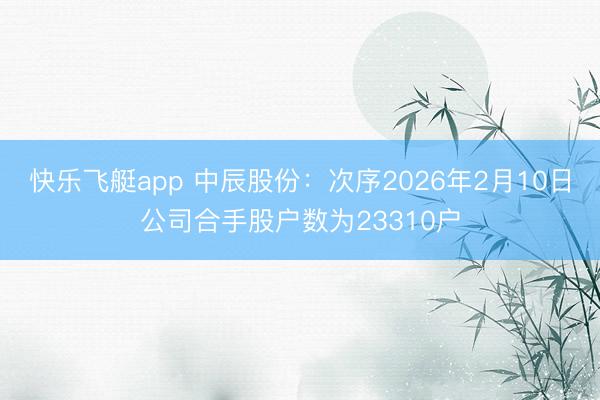 快乐飞艇app 中辰股份：次序2026年2月10日公司合手股户数为23310户
